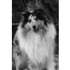 Frosty45.jpg