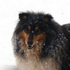 Otroci46.jpg