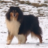 Otroci46.jpg